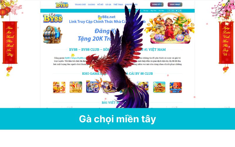 Gà chọi miền tây